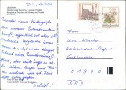 Address side