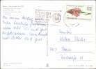 Detailbild