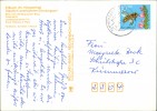 Detailbild