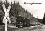 Detailbild