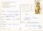 Detailbild