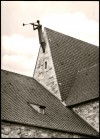 Detail image