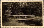 Detailbild