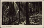 Detailbild
