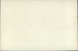 Detailbild